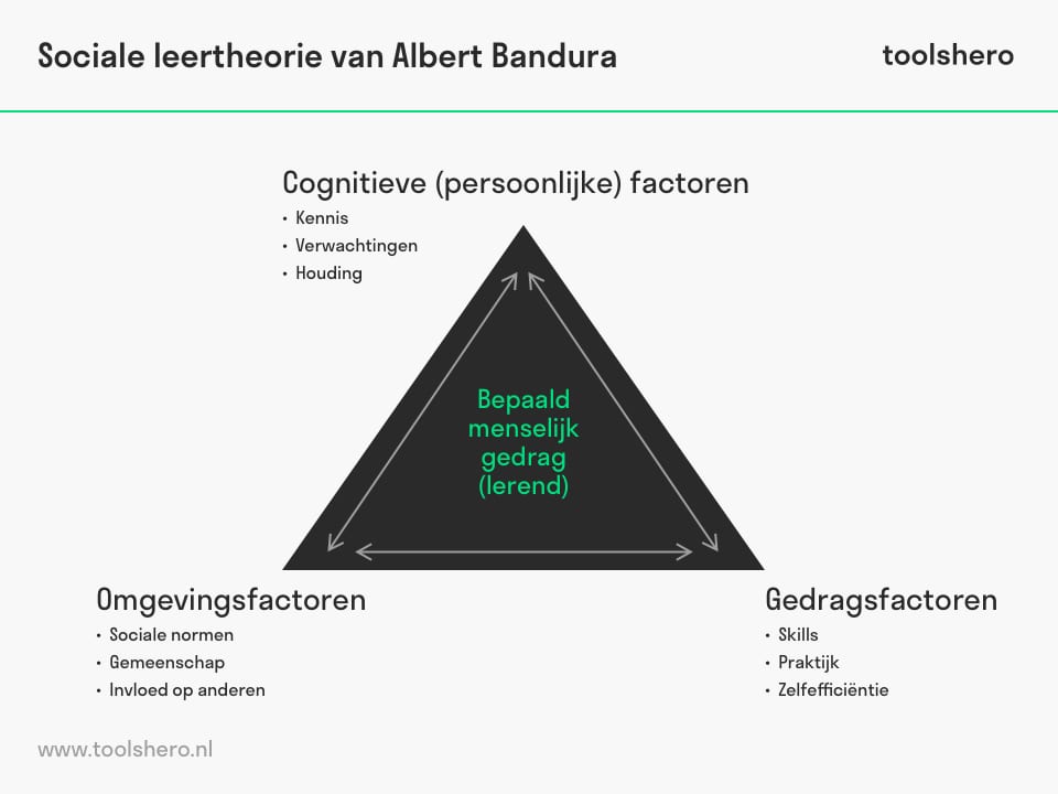 Sociale leertheorie van Albert Bandura - toolshero